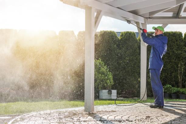 Best Solar Panel Cleaning  in Hilbert, WI